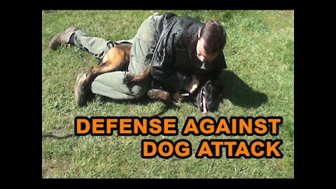 How to defend or Self defend against a dog