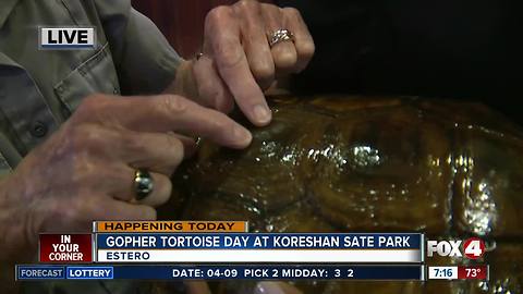 Gopher Tortoise Day at Koreshan State Park - 7am live report