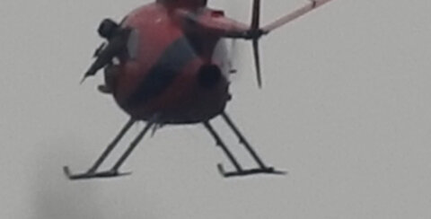 Tennessee Wildlife Resources Agency shooting feral hogs from helicopter