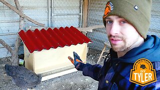 Easy Bulk Chicken Feeder. Zero Waste Automatic Chicken. Feeder storage for Weeks!