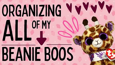 Beanie Boo Shelf Re-Organization! - How I Store My Beanie Boos✨