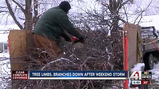 KC tree services staying busy after snowstorm mess