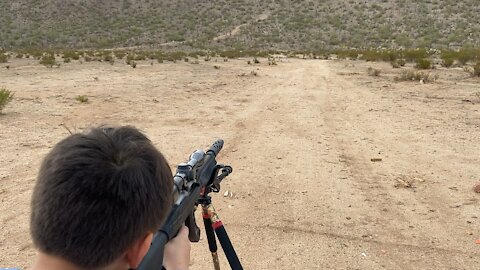 Ruger 10/22 Suppressed 100yds 9yr old