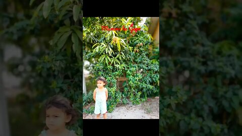Chalo Gaon Chale🏠 #mango #summer #gaonkishanti #shortvideo #village #greenery