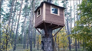 Building a tree house in a few days