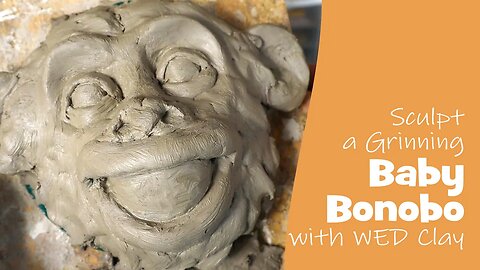Sculpt a Grinning Baby Bonobo with WED Clay