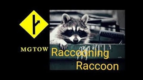 Red pill Raccooning Raccoon MGTOW Parte 2