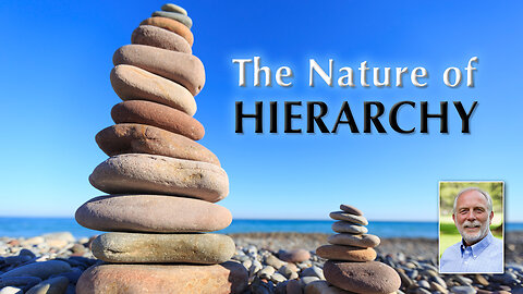 The Nature of Hierarchy