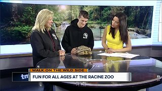 Fun for all ages at the Racine Zoo