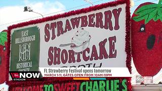 Florida Strawberry Festival 2018: Everything you need to know