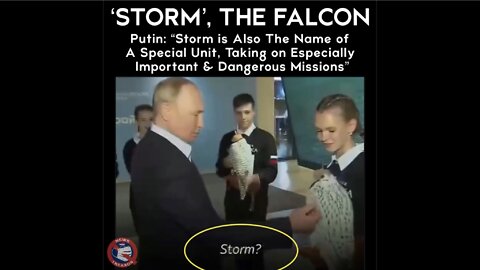 Putin Names Falcon STORM After “UNIT IN THE SPECIAL MILITARY OPERATION.”