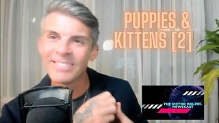 Puppies & Kittens [2]