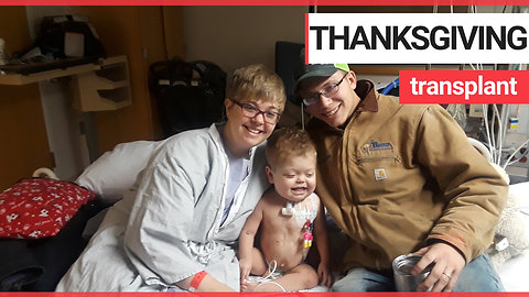 Mother saves her sick toddler's life by donating her kidney
