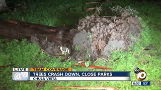 Falling trees prompt park closures in South Bay