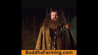 Robbie Coltrane: Hagrid from Harry Potter actor dies aged 72 RIP