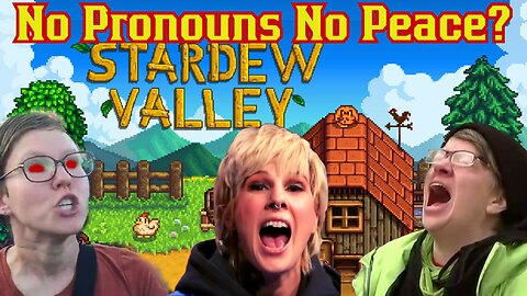 Stardew Valley Players DEMAND Neo Pronouns Be In Game!