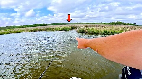 Catch MORE! Saltwater Fish Using THIS Technique! -EASY Fishing