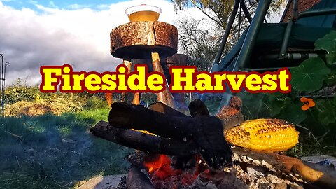 Fireside Harvest Of Sweetcorn Roast, No Dig Organic Allotment Kitchen Garden And Fruit Orchard