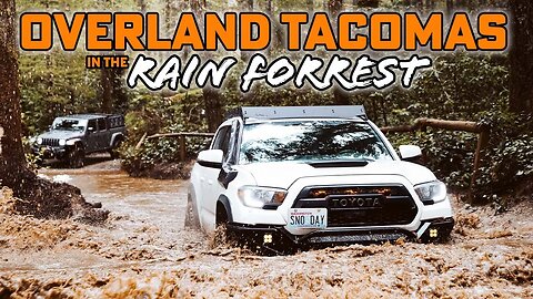 Toyota Tacoma TRD PRO exploring Pnw Rain Forest