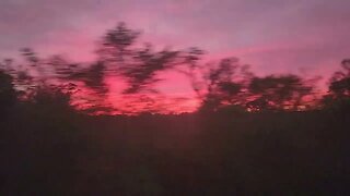 Amtrak Crescent | Mississippi Sunset