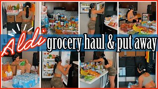 *NEW* TWICE A MONTH AFFORDABLE ALDI GROCERY HAUL & PUT AWAY & ORGANIZE WITH ME 2022 | ez tingz