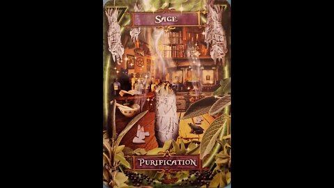 #39 Witches' Kitchen Oracle Cards Sage