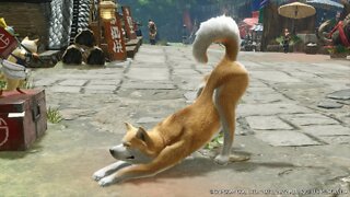 Doge in Monster Hunter Rise Sunbreak...