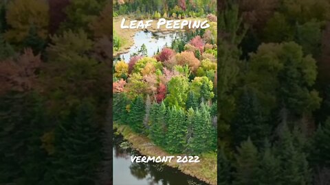 Leaf Peeping 2022