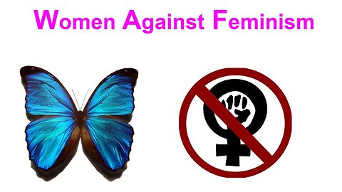 Protect The Ladies Against Feminism