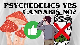 🚀 Psychedelics Progress vs. Marijuana Hurdles 🌿