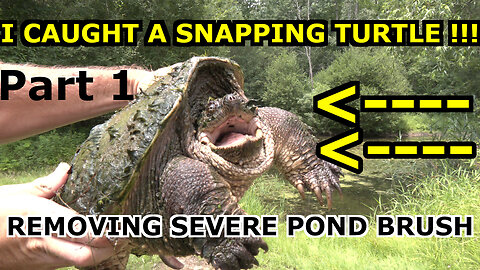 INSANE Pond Landscaping Makeover!!! Plus: HAND Caught SNAPPING TURTLE! Part 1 ( Toad Man Tropicals )