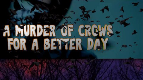 A Murder Of Crows For A Better Day