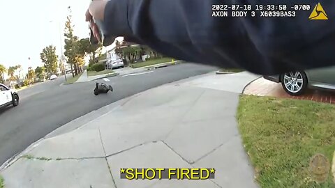 Body cam shows Police shooting man believed to be armed with gun. Jermaine Petite LAPD bodycam shoot