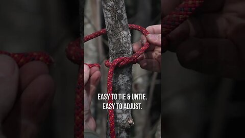 How to Tie a Clove Hitch #shortsvideo