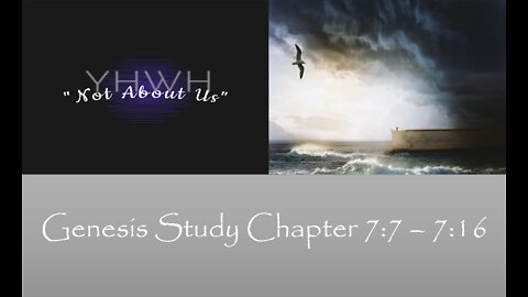 Genesis Study 42