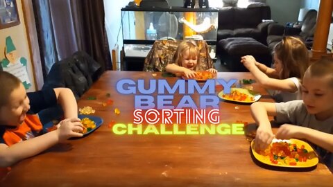 Gummy Bear Sorting Challenge | Krazy Kidz Creations