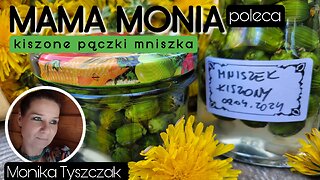 Mama Monia poleca: Kiszone pączki mniszka