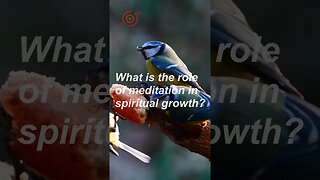 What is the role of meditation in spiritual growth? #shorts #mindselevate #expandyourmind