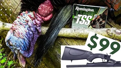 $99 Shotgun vs MONSTER TURKEY!!! 🦃🦃🦃