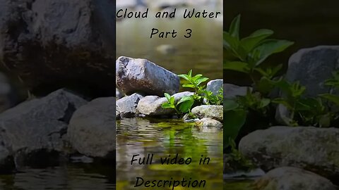 Cloud and Water, Part 3-1: Bodhidharma Came From the West Without a Word