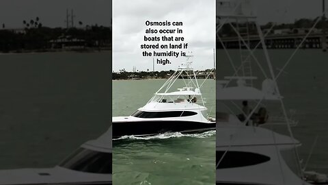 Can osmosis occur when boats are on dry standing? #boating