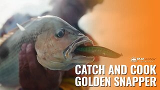 Catch and Cook Northern Australia - species Fingermark or Golden Snapper