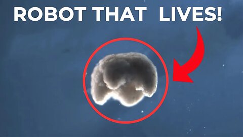 Stunning New Robot Can Reproduce and its UNBELIEVABLE