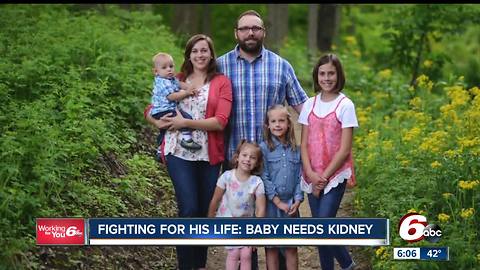 Parents of a 22-month-old are trying to donate a kidney to save his life