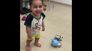 Baby Finds Toy Hammer Noise Simply Hysterical