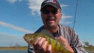 MidWest Outdoors TV Show #1623 - South Dakota Perch on Dry Lake with the Skinzit Crew