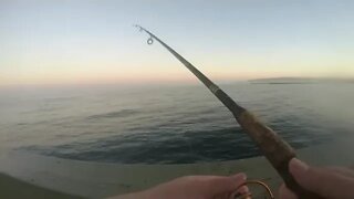 Ocean Beach Pier Fishing and Catching Mackerel 17