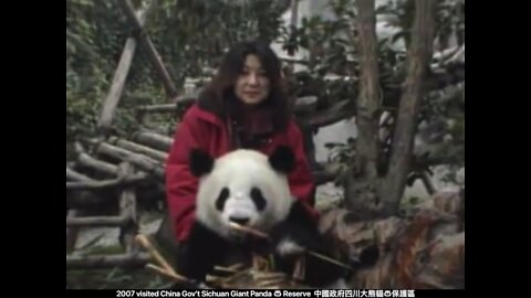 2007 visited China Gov’t Sichuan Giant Panda 🐼 Reserve