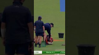 Cricket Players Don't Play Around