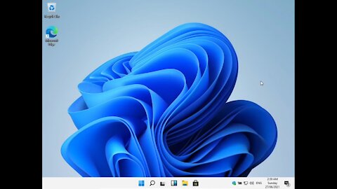 Windows 11 Build - Installation as VirtualBox Guest with WIP music